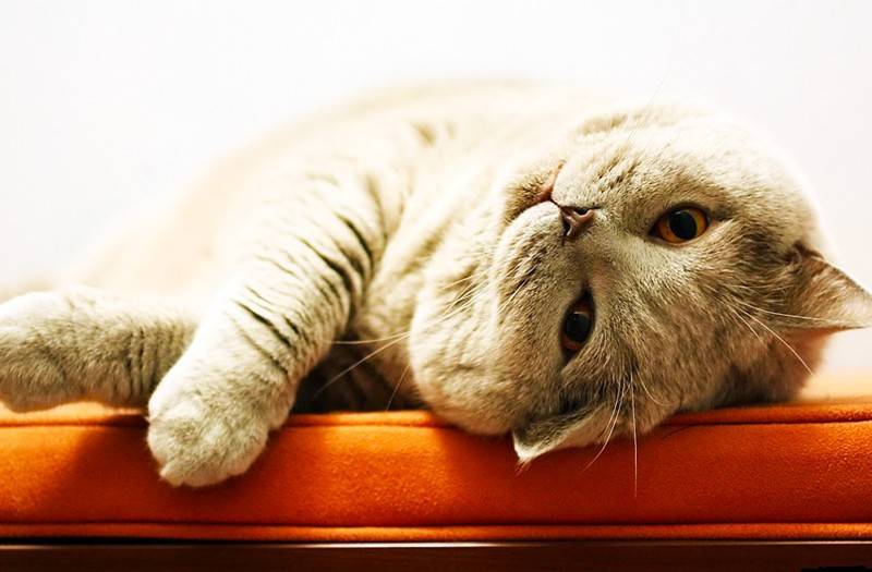 Processed with VSCO with c1 preset