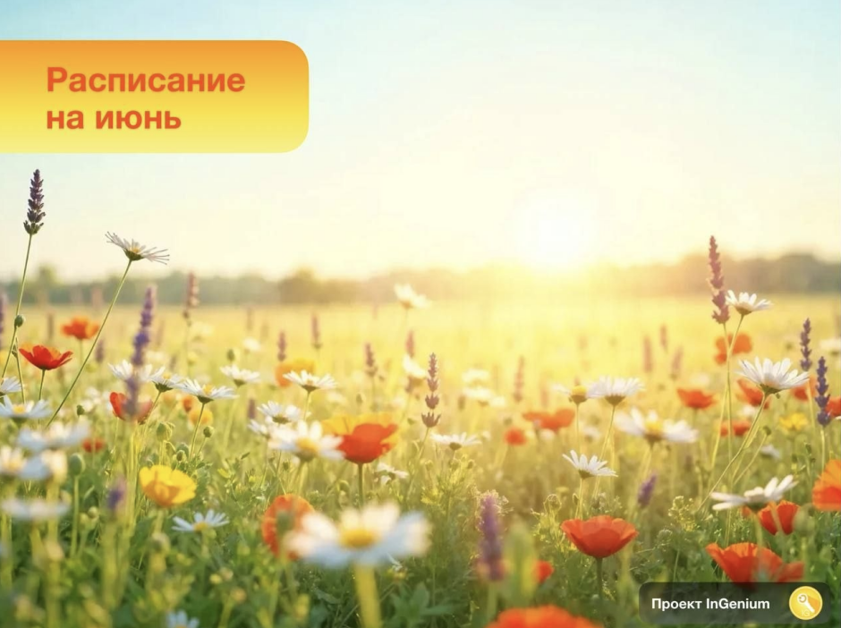 расписание вебинаров в рамках авторского канала